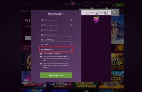 malina casino bonus code|Malina Casino Promo Code (NEWBONUS), Best Offers & Promoti.